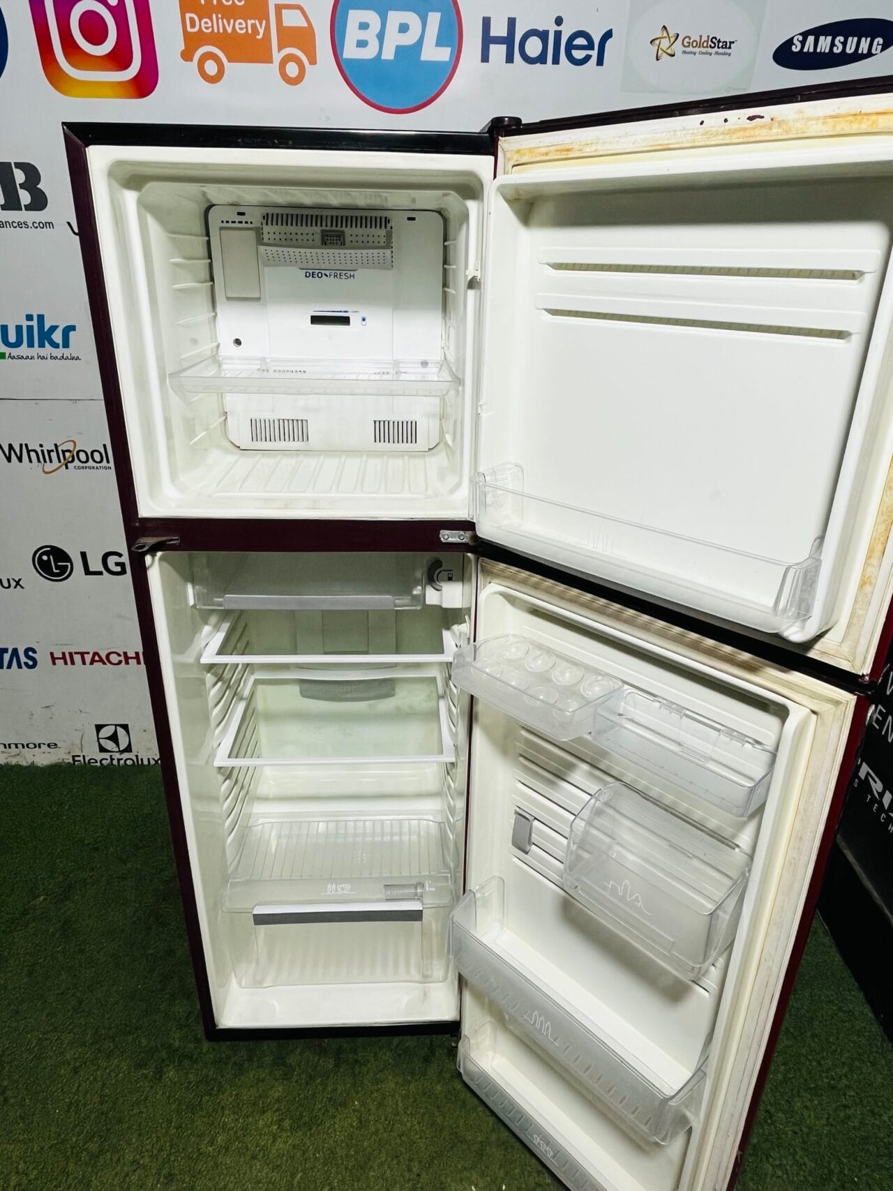 Electrolux deo fresh 4 star energy rating inbuilt stabiliser 260 ltr red flower model used double door refrigerator - Image 3