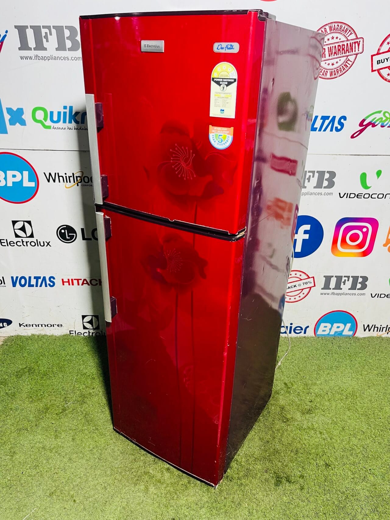 Electrolux deo fresh 4 star energy rating inbuilt stabiliser 260 ltr red flower model used double door refrigerator - Image 4