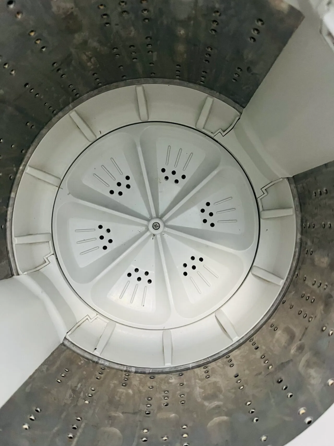 Godrej eon DAC+ 6.5 kg fully automatic top load washing machine - Image 3
