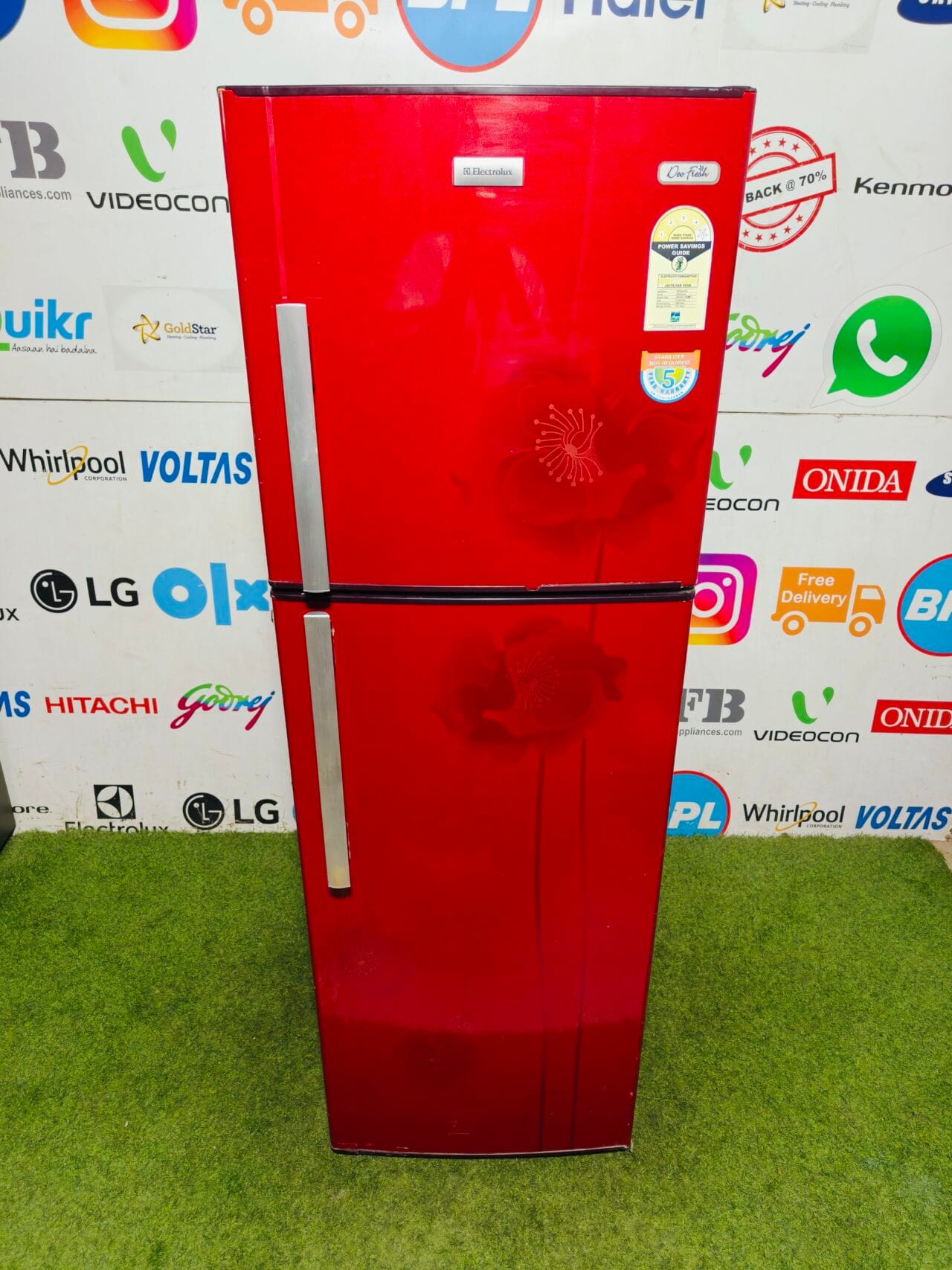 Electrolux deo fresh 4 star energy rating inbuilt stabiliser 280 lte red flower model used double door refrigerator