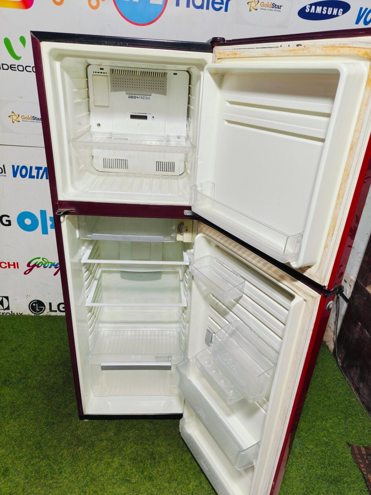 Electrolux deo fresh 4 star energy rating inbuilt stabiliser 280 lte red flower model used double door refrigerator - Image 3