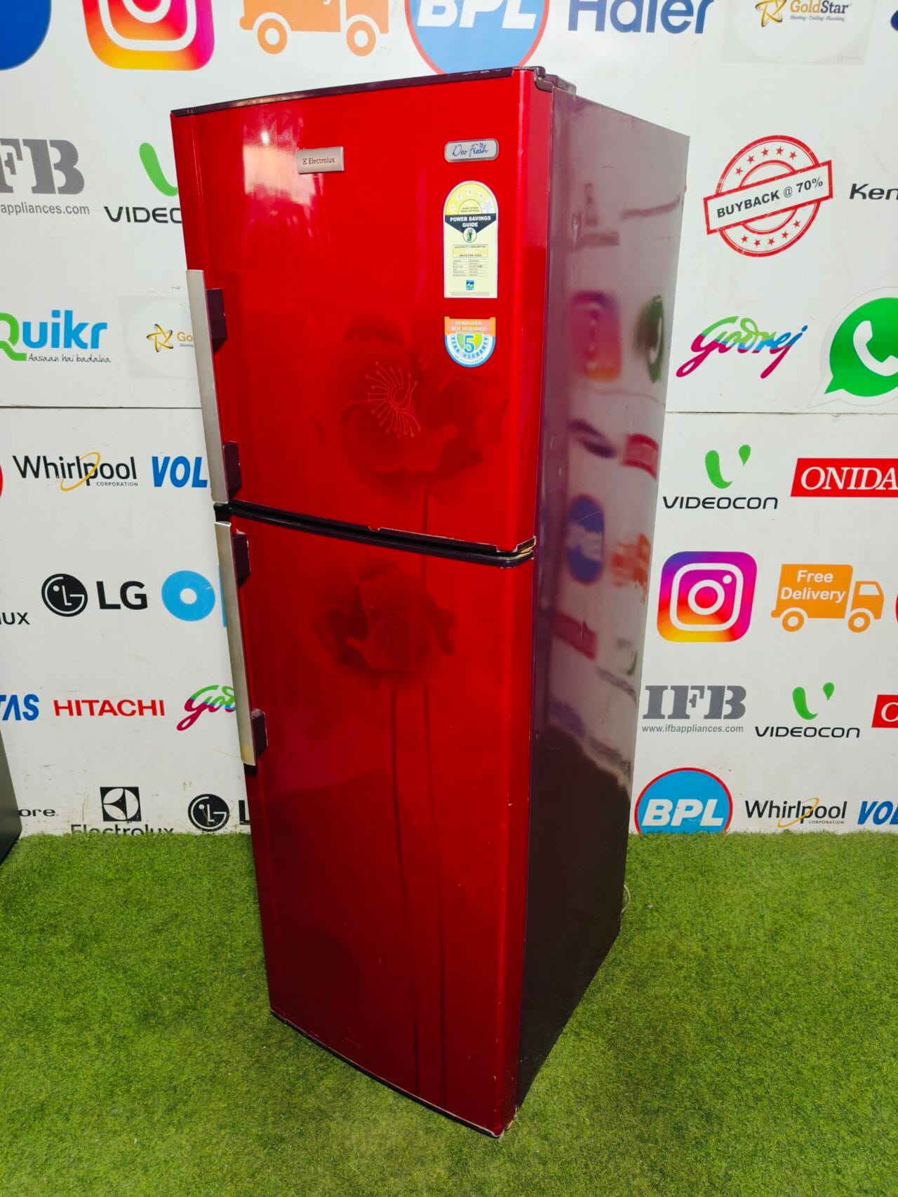 Electrolux deo fresh 4 star energy rating inbuilt stabiliser 280 lte red flower model used double door refrigerator - Image 5