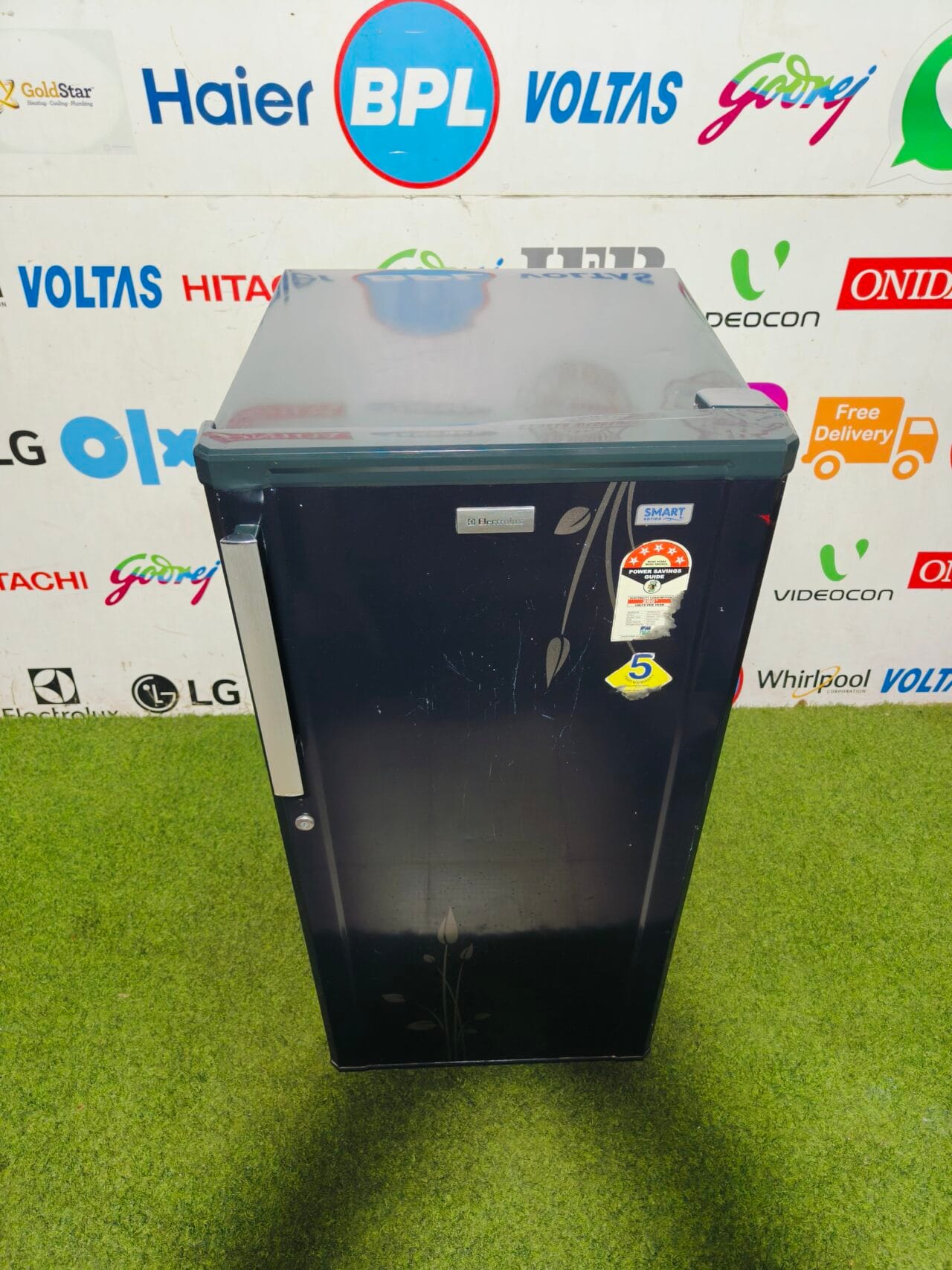 Electrolux smart series 5 star energy rating inbuilt stabiliser flower model 190 lte single door refrigerator - Image 2
