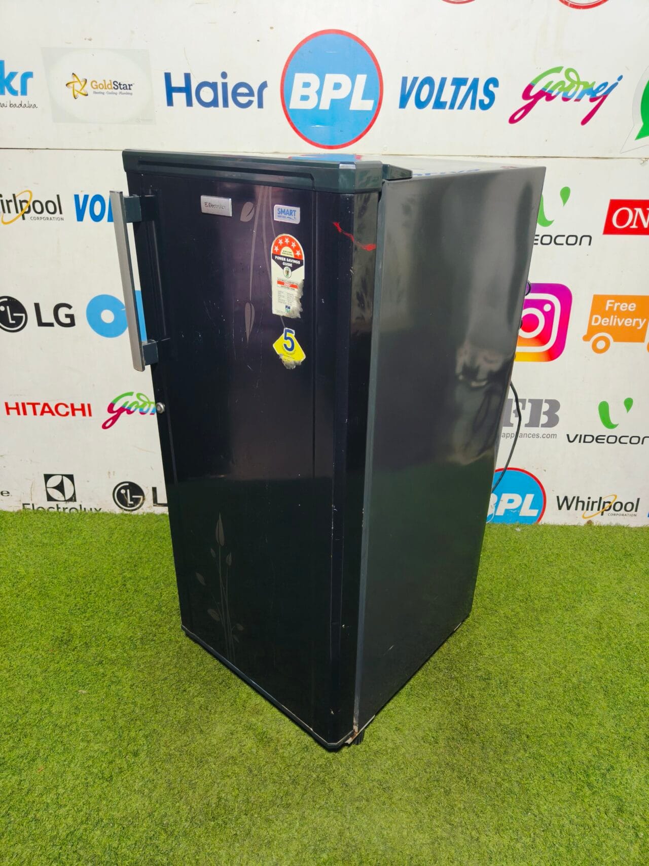 Electrolux smart series 5 star energy rating inbuilt stabiliser flower model 190 lte single door refrigerator - Image 5