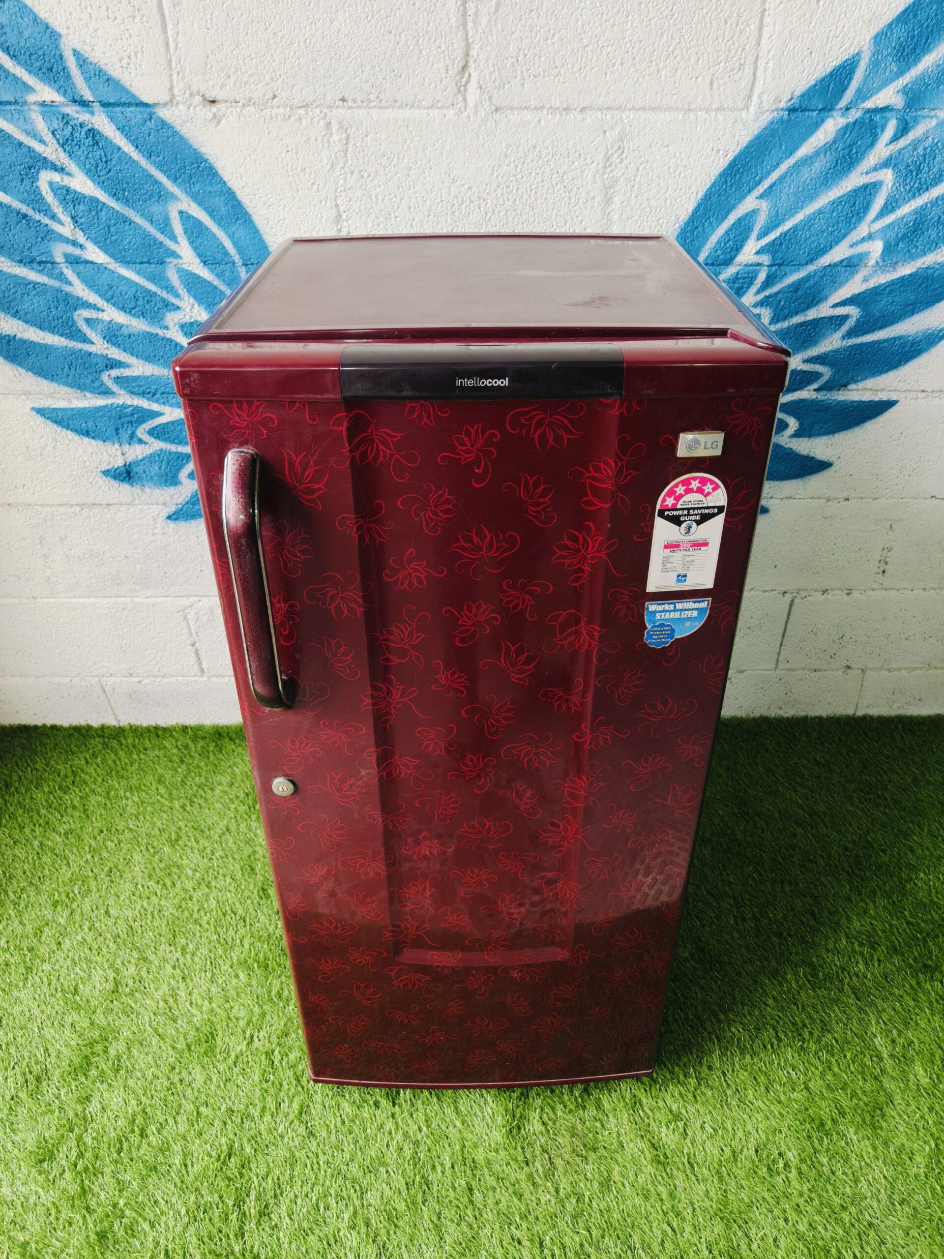 Lg 4 star energy rating inbuilt stabiliser flower model 190 lte single door refrigerator - Image 2