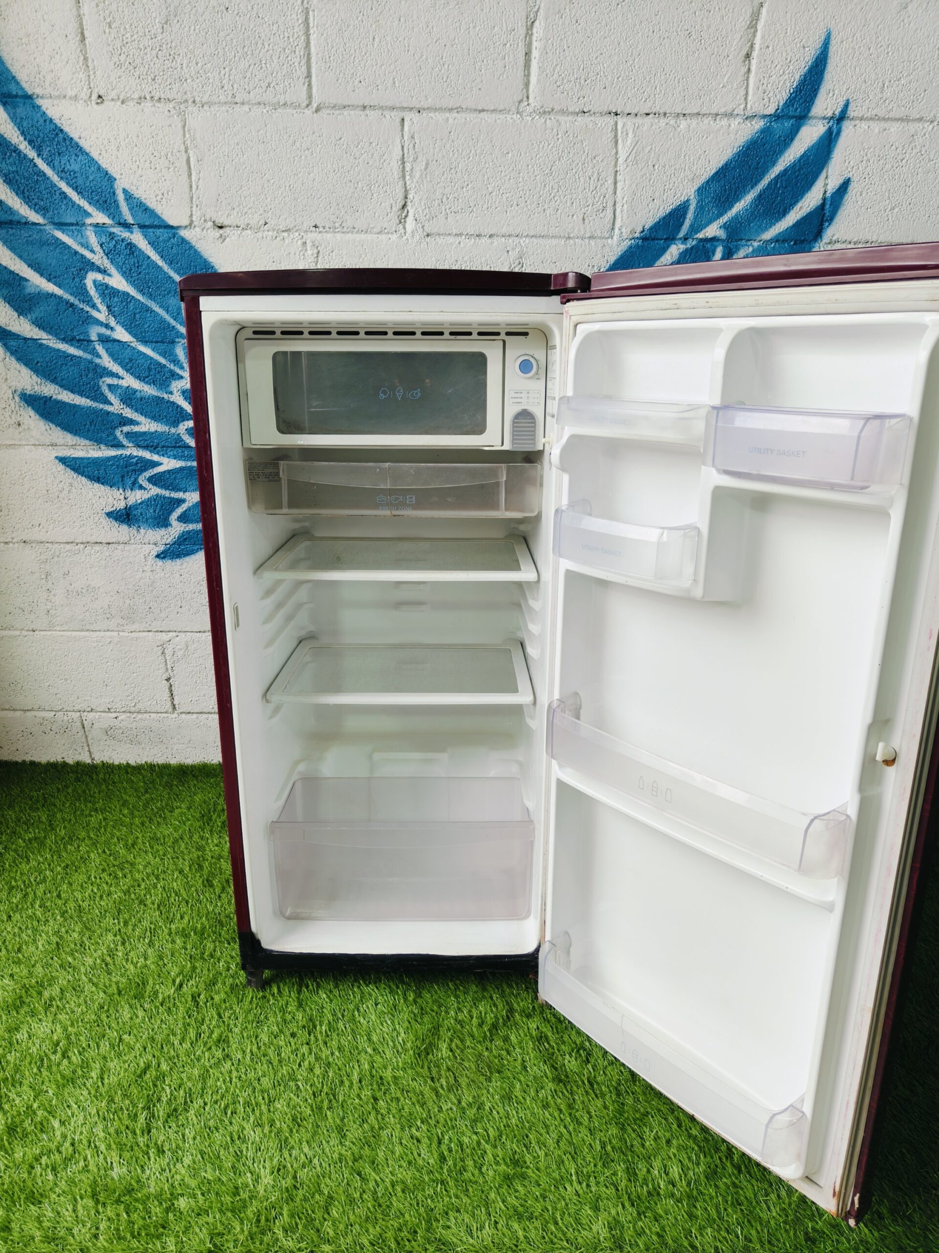 Lg 4 star energy rating inbuilt stabiliser flower model 190 lte single door refrigerator - Image 3