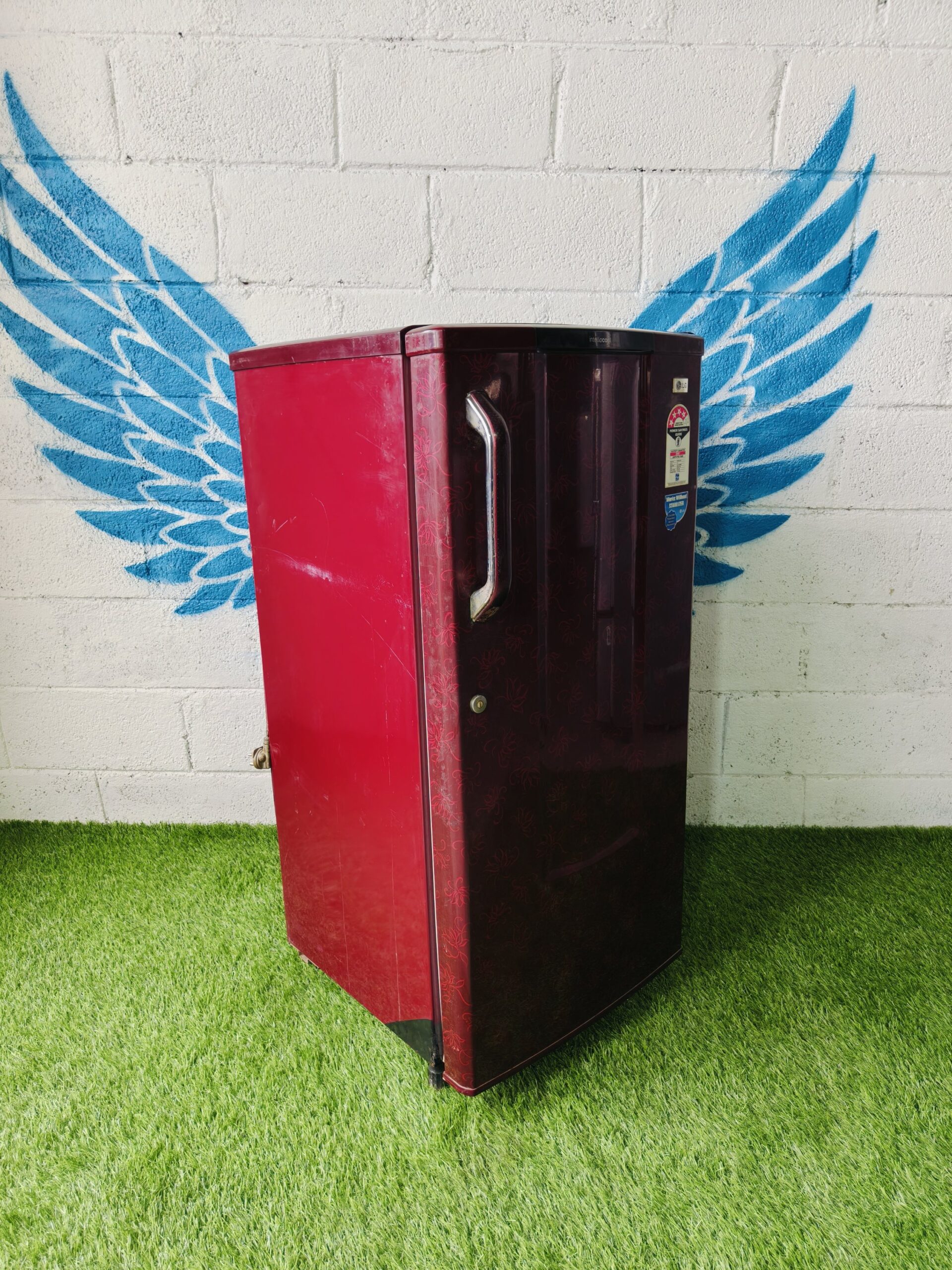 Lg 4 star energy rating inbuilt stabiliser flower model 190 lte single door refrigerator - Image 4