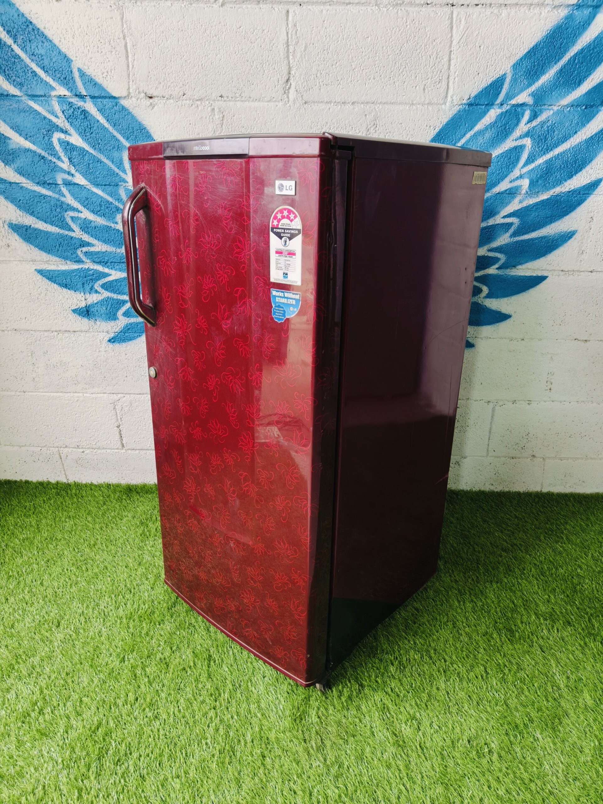 Lg 4 star energy rating inbuilt stabiliser flower model 190 lte single door refrigerator - Image 5