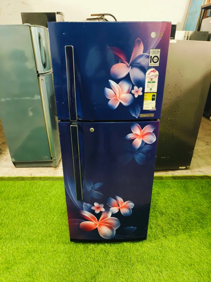 LG 4 star energy rating flower model 240 ltr double door refrigerator