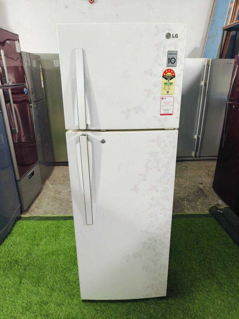 LG 5 star energy rating white flower model 290 ltr double door refrigerator