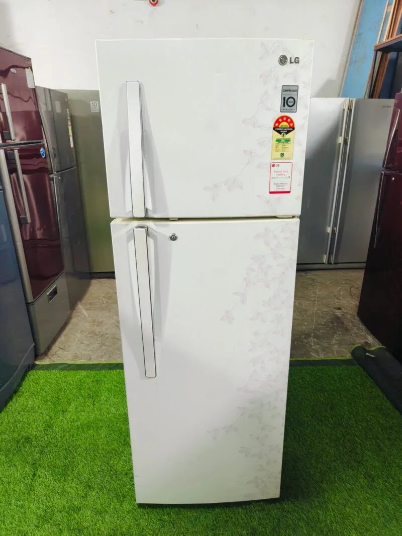 LG 5 star energy rating white flower model 290 ltr double door refrigerator