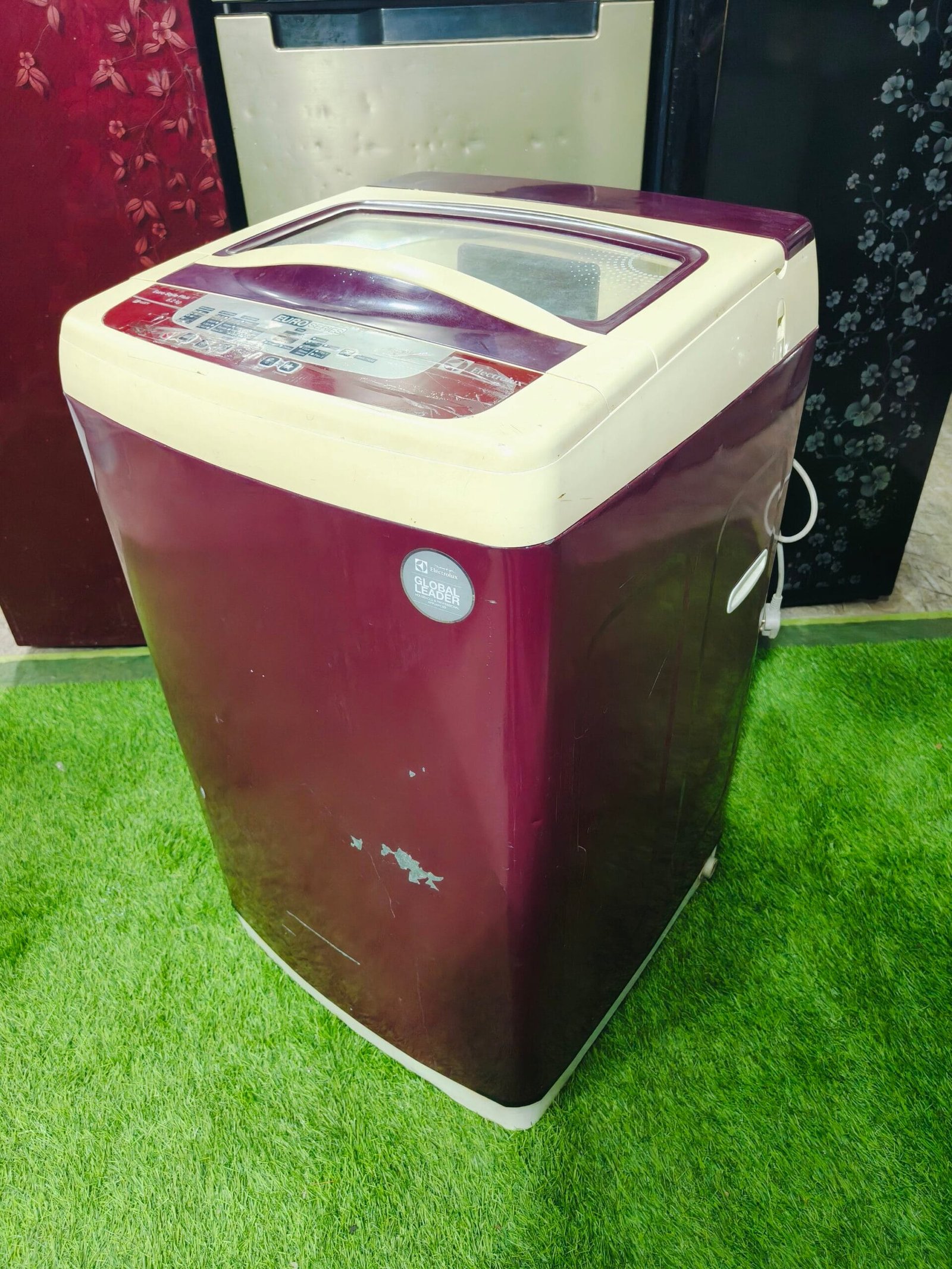 Electrolux euro series euro style plus 6.2 kg fully automatic top load washing machine - Image 4